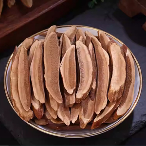 Champignon Reishi en tranches vietnamien de haute qualité de qualité culinaire pour la santé et le bien-être - Product Image 4