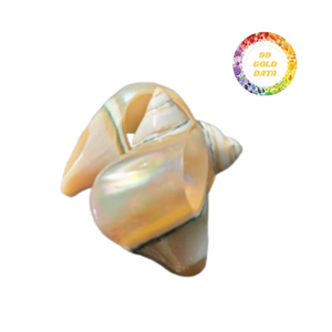 Servilleteros de concha marina bellamente elaborados, decoración hecha a mano de Vietnam para mesas de comedor, bodas y eventos en la playa - Product Image 6