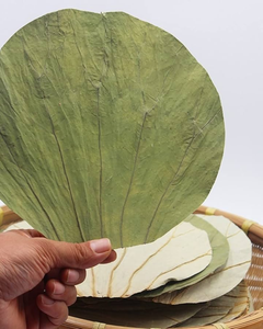 Feuilles de lotus séchées du Vietnam pour le thé, les applications à base de plantes et la santé - Product Image 2