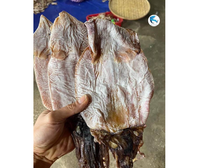 VENTE EN GROS DE MEILLEURE QUALITÉ SÉCHÉ RÔTIS RAYAGE CALMARI NOIR | ORIGINE VIETNAM