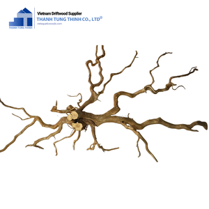 Hot Item Bois flotté naturel pour accessoires de réservoir de poissons en gros fabriqué au Vietnam - Product Image 6