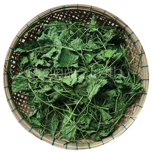 Mejor precio para Pennywort seco/Top Venta caliente 2023/Productos para té - Product Image 4