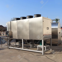 Machine de torréfaction de graines de sésame de céréales électriques à gaz industriel automatique de grande capacité