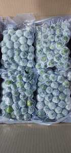 FRUTA CONGELADA DE VIETNAM - KUMQUAT CONGELADO PARA MATERIA PRIMA - ALTA CALIDAD Y FRESCO - Product Image 2