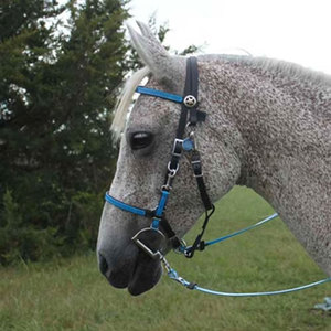 Bride équestre réglable et confortable en PVC pour cheval de course de chevaux Accessoires Muserolle Sangle à mâchoires solide - Product Image 3