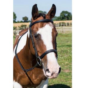 Bride et rênes de cheval Bling en cuir anglais de haute qualité accessoires de cheval à la mode - Product Image 1