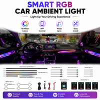 Kit d'éclairage LED d'ambiance pour l'intérieur de la voiture, 12V, modèle LH-002, faisceau de câbles en acrylique, logo personnalisé, prise en charge de diverses combinaisons de kits, OEM