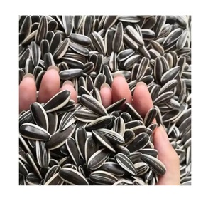 Graines de tournesol biologiques de haute qualité, fraîchement torréfiées et séchées pour l'usage alimentaire, en vrac, emballées en sacs - Product Image 5