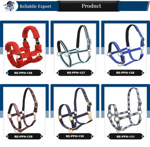 Halter d'équitation de selle western en nylon de haute qualité Best Value PP Halter - Product Image 4