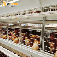 Cages à poules pondeuses automatiques de type H au design moderne pour fermes avicoles