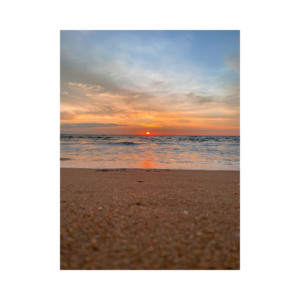 Disponible para la venta a precios imbatibles Obtenga Beech Long para su próximo proyecto de carpintería o construcción disponible a un gran - Product Image 1