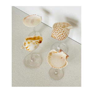 Vasos de conchas marinas Estilo océano Hecho a mano Vasos de concha natural Perfecto para resorts costeros y hogares Vietnam - Product Image 5