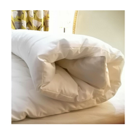 Prix de gros Couette surdimensionnée pour les nuits froides d'hiver en conception d'usine OEM Disponible maintenant en vente