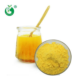 Bubuk Perisa Jus Mangga Instan Organik Alami - Product Image 2