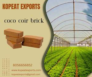 Bloc de 1kg de tourbe de coco tampon basse EC pour un conditionnement optimal du sol - Product Image 4