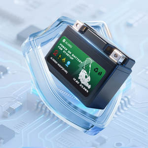 แบตเตอรี่ลิเธียม (LiFePO4 1500 รอบการใช้งาน) ขนาด 2.0Ah รองรับเครื่องยนต์เบนซิน 5kW-8KW สำหรับเครื่องมือไฟฟ้า - Product Image 2