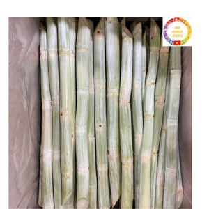 Bâtonnets de canne à sucre congelés du Vietnam, propres et prêts à presser, avec une douceur naturelle, ingrédient parfait pour les boissons froides et les smoothies - Product Image 3