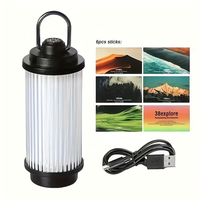 Lampe LED portable OEM ODM 200Lm avec port de charge USB-C et trou fileté 1/4 pouce pour le camping, la randonnée et les situations d'urgence