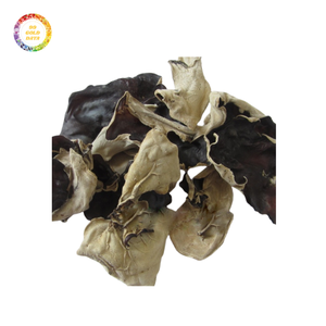 เชื้อราหูเมฆสำหรับการใช้งานในชีวิตประจำวันส่งมอบคุณภาพที่เหนือกว่าในราคาที่เหมาะสม - Product Image 5