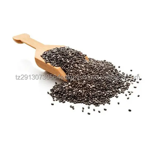 vacuum packed Chia seeds / bulk Chia seeds wholesales with best price