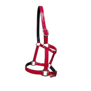 Licol pour cheval en PVC réglable / Construction solide et imperméable, facile à nettoyer / Ajustement confortable pour l'entraînement, l'équitation et l'usage quotidien 2026 - Product Image 1