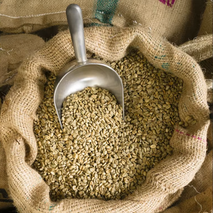 High Quality Vietnam Organic Arabica Green <b>Coffee</b> <b>Beans</b> Size 18 100% Natural USDA Certified TNFOOD Brand AA+ Grade 1000kg Bulk - Product Image 1