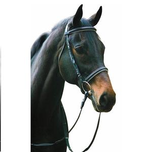 CABALLO BRIDLE DELUXE ANATOMIC CUERO ELEVADO La mejor nueva brida anatómica Caballo brida anatómica de cuero - Product Image 2