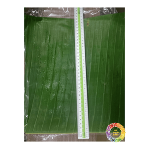 Hojas de plátano congeladas listas para envolver: hoja verde fresca, embalaje personalizado, precios al por mayor. - Product Image 2