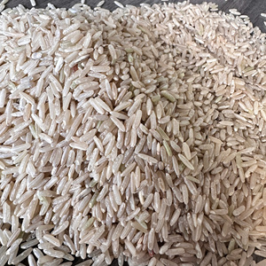 Riz brun - Riz brun naturel - Riz sain en grains entiers - Vente en gros - Exportation - MaxRice - Product Image 2