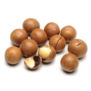 Noci di Macadamia di grado Premium a prezzi all'ingrosso economici