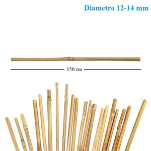 50 canne di bambù naturali 150cm Ø12/14mm-attrezzatura da arrampicata biologica e supporto accessori per pomodori da giardino verdure e piante - Product Image 5
