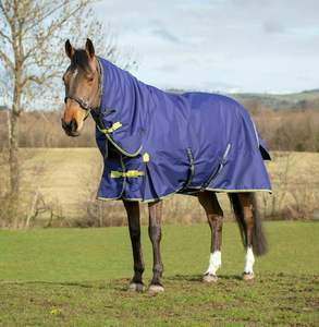 Customized Professional Waterproof Horse <b>Rugs</b> for Winter Durable Polyester Fabric Comfortable Cotton <b>Padding</b> Indoor-Outdoor Use - Product Image 5