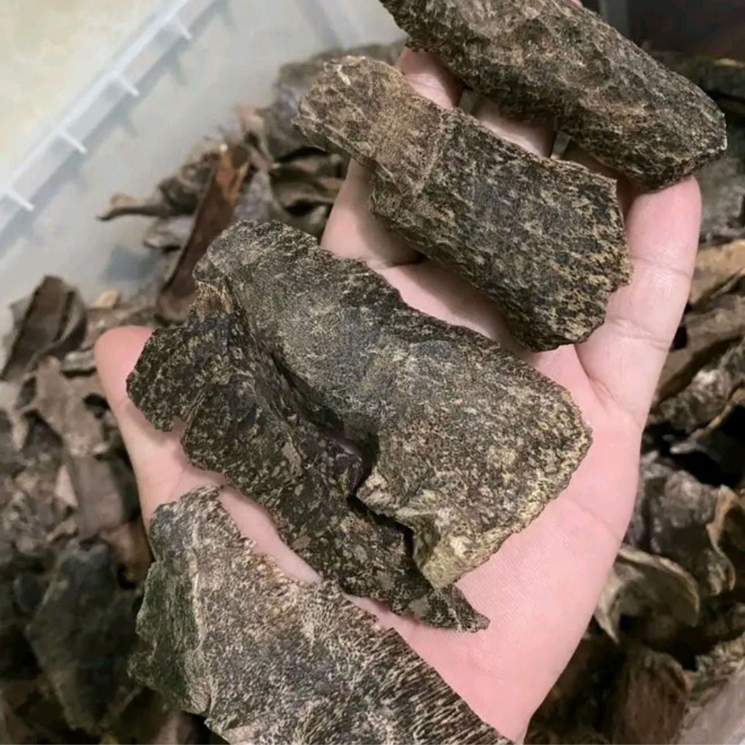 Deep Resin Blackish Brown