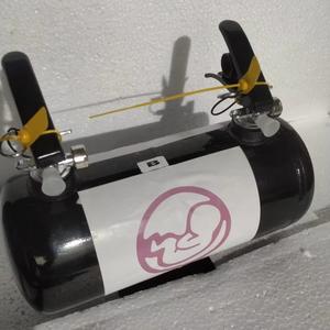 Pistolet à poudre colorée biodégradable écologique non toxique à double jet de marque personnalisée 4 kg Protection de la valve Graduation - Product Image 1