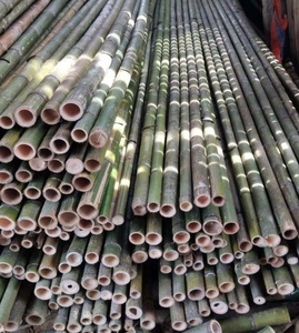 Vietnamese Outdoor Elegant Decorative <b>Bamboo</b> Fence Natural Landscape Furniture from Sustainable Agriculture Products - Product Image 1