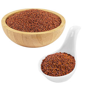 Berro | Hojas suaves y tiernas | Popular en comidas de bienestar - Product Image 1