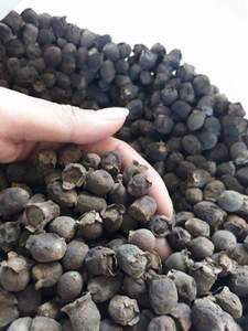 เมอร์เทิลเบอร์รี่อบแห้งออร์แกนิกเพิ่มภูมิคุ้มกันสูตรสะอาด - Product Image 3