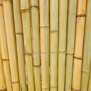 Bambou Pole Fabricant Exportateur | Vifarmex Fournisseur de prix d'usine de gros pour les meubles et le matériel de bricolage | + 84 785 319 869 - Product Image 1