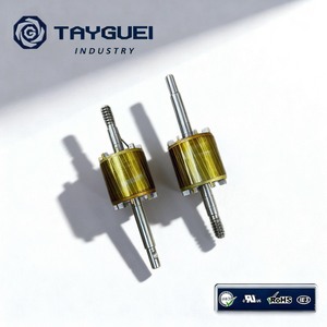 Conception de stator et de rotor de moteur BLDC à haute efficacité avec revêtement en époxy - Product Image 6