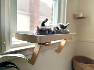 Hostk biểu tượng tùy chỉnh tre mèo gỗ cử<span class=keywords><strong>a</strong></span> sổ cá rô võng ghế mèo giường - Product Image 5