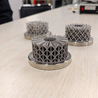 Servizio di Stampa 3D CNC Personalizzato, Parti Prototipo Rapido in Nylon PEEK POM ABS SLS/SLA Alluminio, Fabbrica OEM ODM