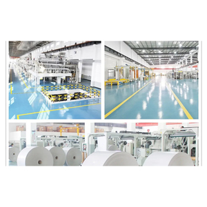 Widely Selling Eco Friendly PE Coated Cup Stock <b>Paper</b> Sheets & <b>Rolls</b> | Made from Wood Pulp Manufacturer Supplier from India - Product Image 5