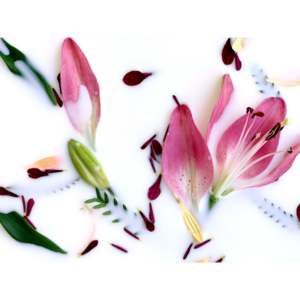 YANY Skin Bloom Crema Contorno Occhi con Acido Ialuronico per Occhiaie, Nutriente per Pelle Danneggiata - Vegana, Cruelty-Free, Anti-Rughe, Pronta per la Vendita al Dettaglio - Product Image 6