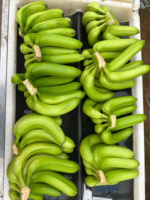 Verse Vietnamese Cavendish-bananen – Hoge kwaliteit, rechtstreeks van de boerderij voor internationale kopers
