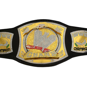 Campeonato de ropa deportiva para Spinner Belt Cowhide 2MM Placa de aleación de zinc Entrenamiento ligero Wrestling Championship Belt Martial - Product Image 5