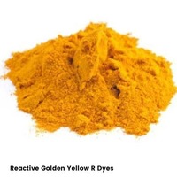 Poudre de colorant acide jaune doré Gokul Eximp R-150 pour textiles, papier, cuir, plastique, encre, fumée et applications d'huile