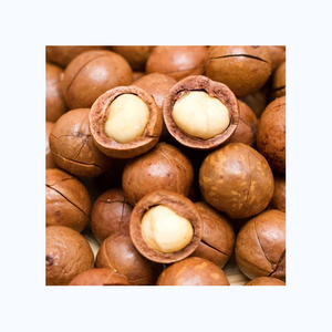 Produit populaire noix de macadamia biologiques à prix très bas - Product Image 6