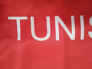 2025 Top Trending Custom Satin Football Soccer Fans Flag Premium Quality Tunisia <b>Scarf</b> with Double Side Printing Long Style - Product Image 5