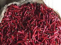 Piments rouges entiers séchés biologiques de qualité supérieure, qualité alimentaire, paquet de 25 kg, fabriqué en Inde, saveur épicée, vente en gros