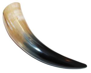 Cuerno para beber de búfalo pulido de alta calidad, acabado estilo buey, fabricado en la India, proveedor mayorista - Product Image 6